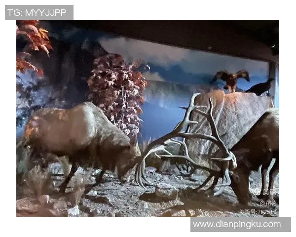 雄鹿栖息地保护与生态平衡研究：从生态环境到物种多样性的综合探讨